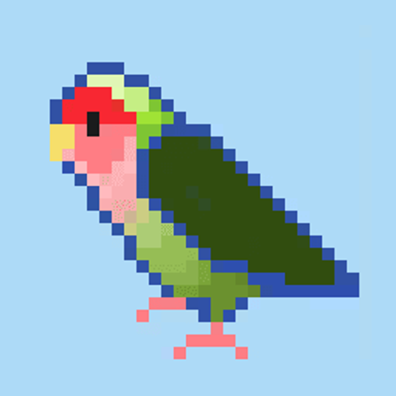 Rosy-faced lovebird #16