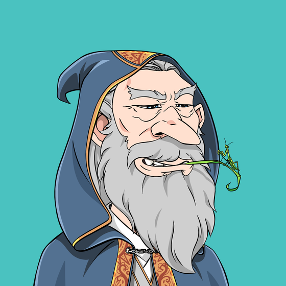 Wizard #5112