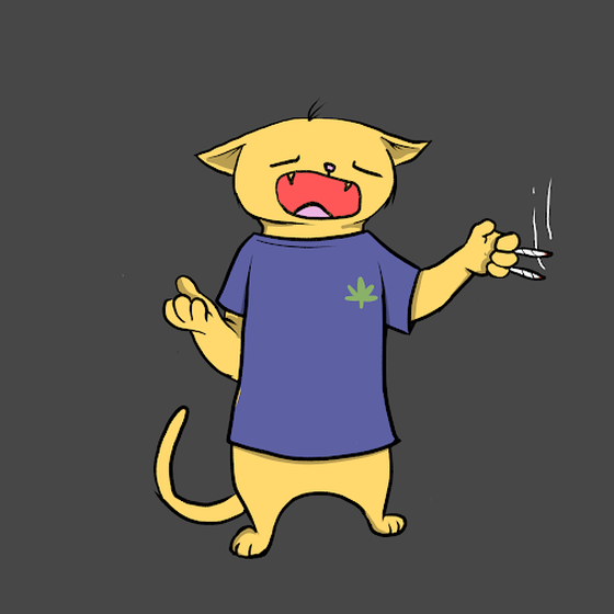 Blazed Cat #4216