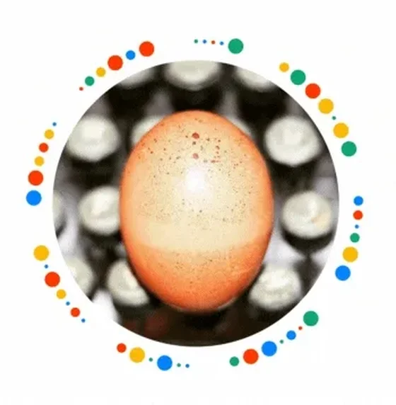 Brown Egg Photoshoot:  Typeface