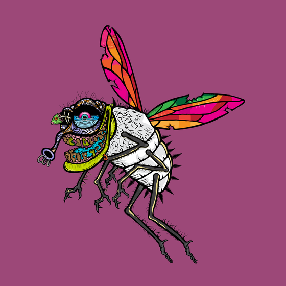 Funky Fly #3103