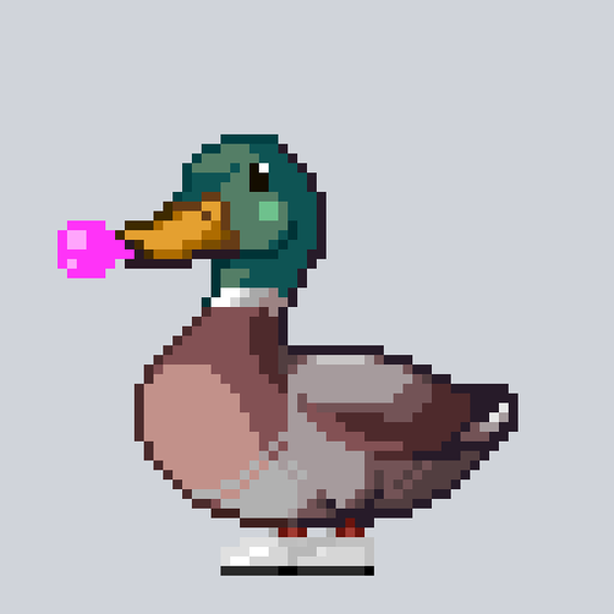 Mallard #2358