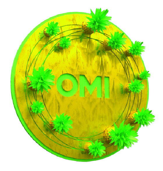 OMI Pineapple Coin #420