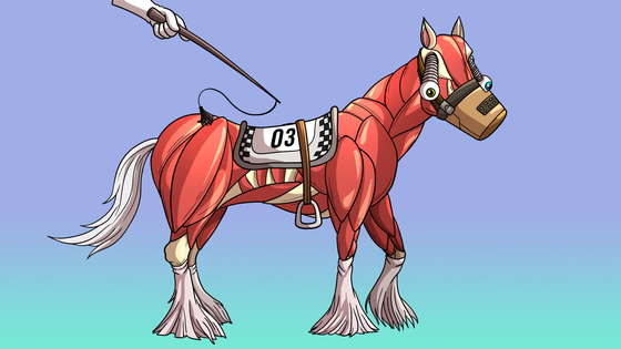 Glue Factory Horse #6170