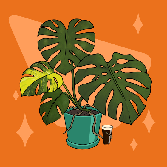 Moody Monstera #40