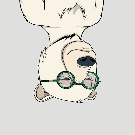 NotNotNotOkayBears #507