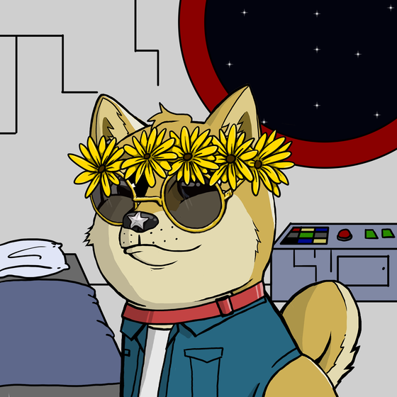 DogeXJR#1082