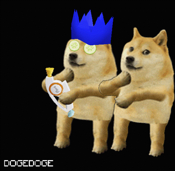 DOGEDOGE #589