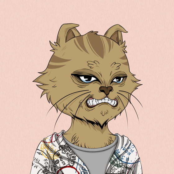 Angry Cat #1671