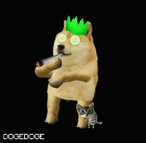 DOGEDOGE #1081