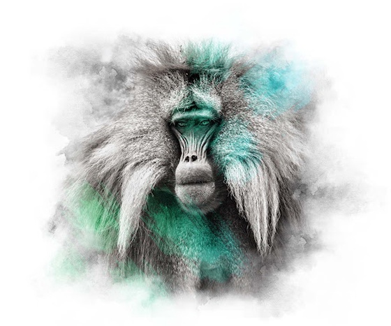 MINT SERIES - GELADA BABOON