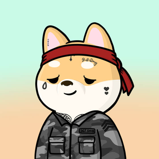 Shibe #2166