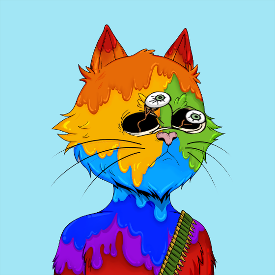 Angry Cat YC #2218
