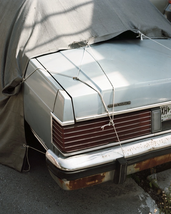 Some Knots On A Car