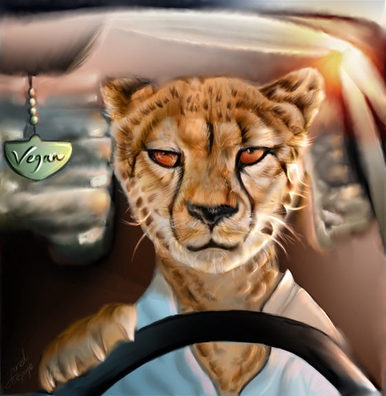 Stuck In Traffic