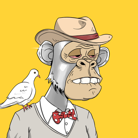 Elderly Ape #3308