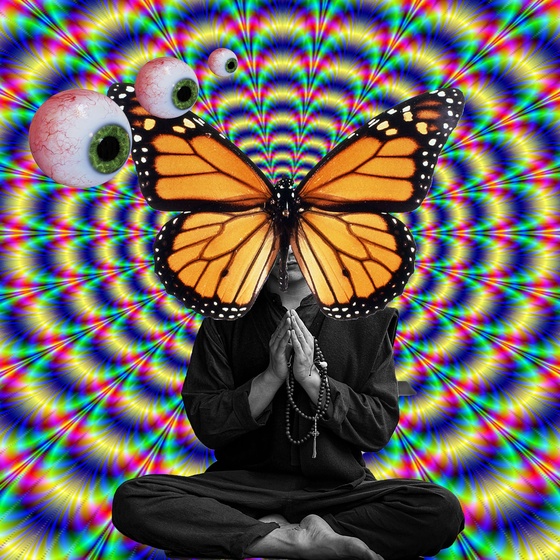 Guru #527