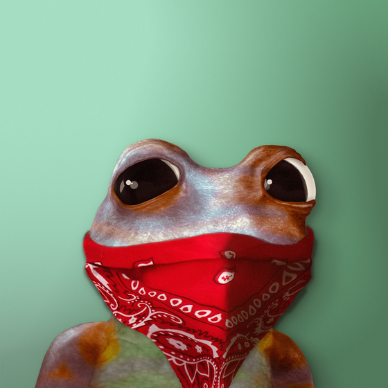 Notorious Frog #4578