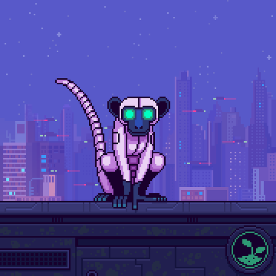 Animonkey #174