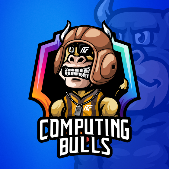 Computing Bulls