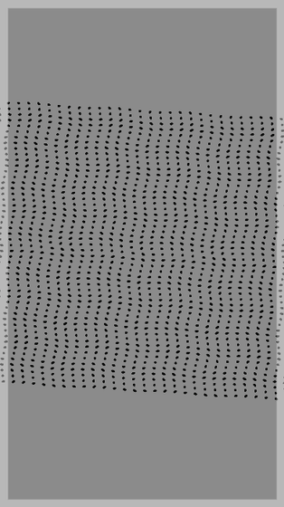 Monochrome Frames #105