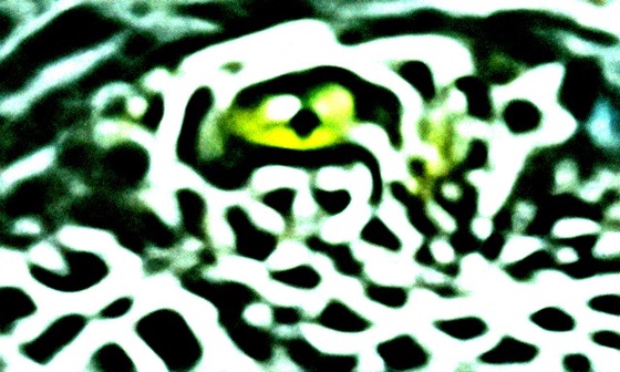 Tronix Witness
