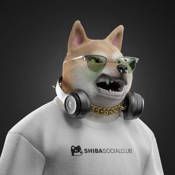 Shiba #7747