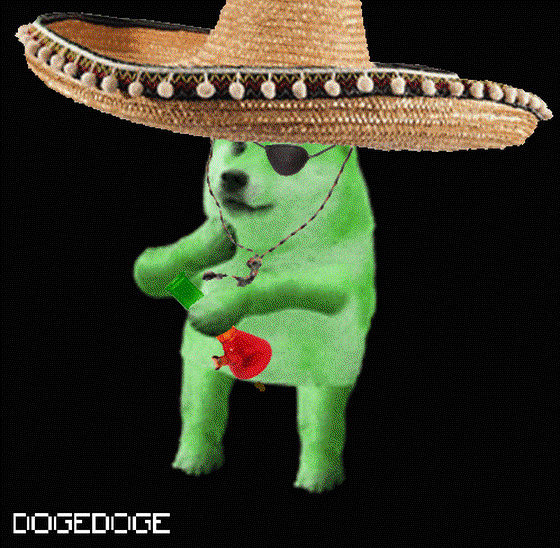 DOGEDOGE #1248