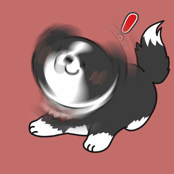 DogDrill#1419