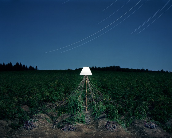 Back to Light - Potato Power, LaJoie Growers LLC, Van Buren, Maine, 2012