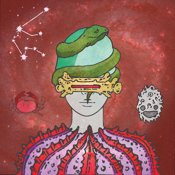 Divine Order of the Zodiac #9873