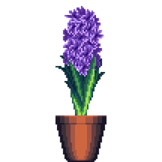 Purple Hyacinth in Cone pot