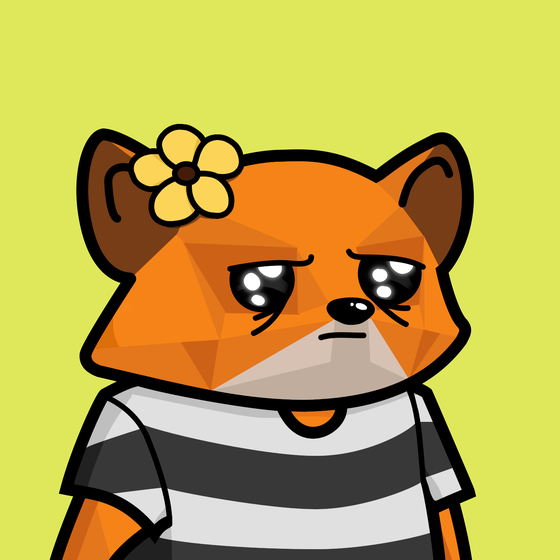 Raccools #463