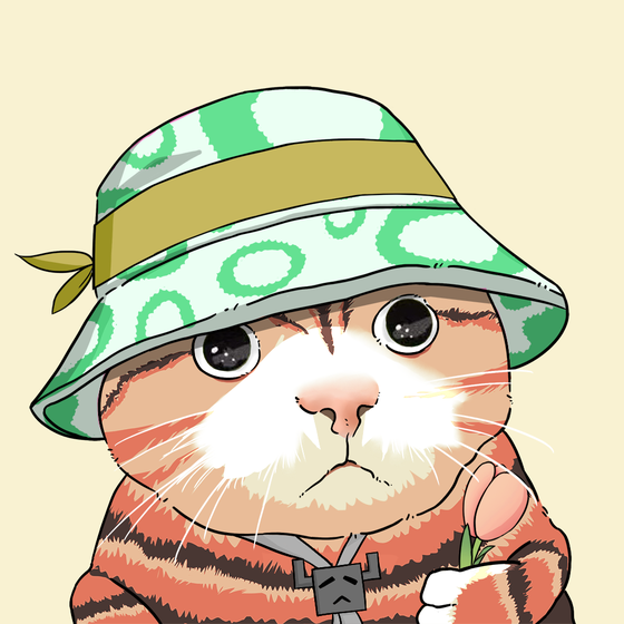 Puzzled cat #1406