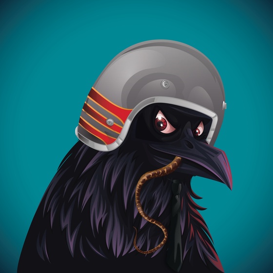 #360 Crow