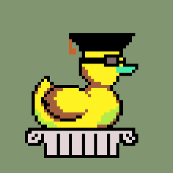 Duck #84