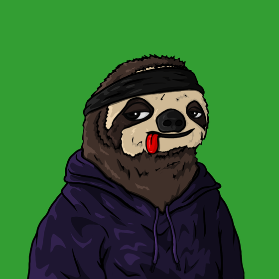 Sammy Sloth Amazon Rainforest Project #200