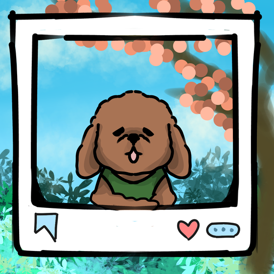 旅する犬 #885