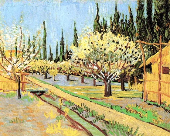 #108 Orchard in Blossom, Bordered by Cypresses
