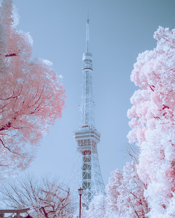 Infrared Photography of Tokyo Tower