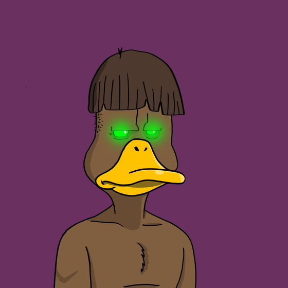 Duck #6158