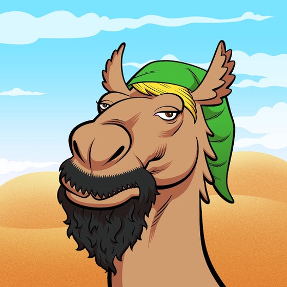 Arabian Camel #9553