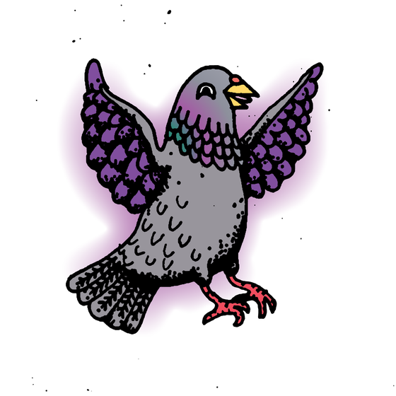 Hood Pigeon #897