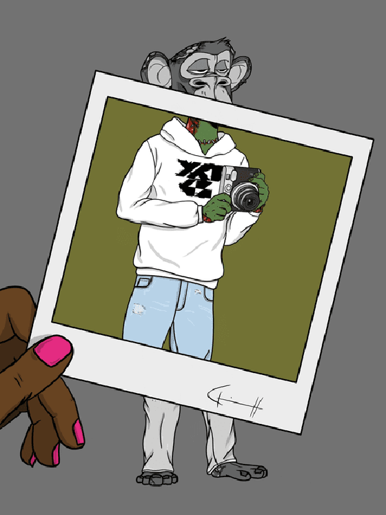 Bored Ape #4762 - Polaroid