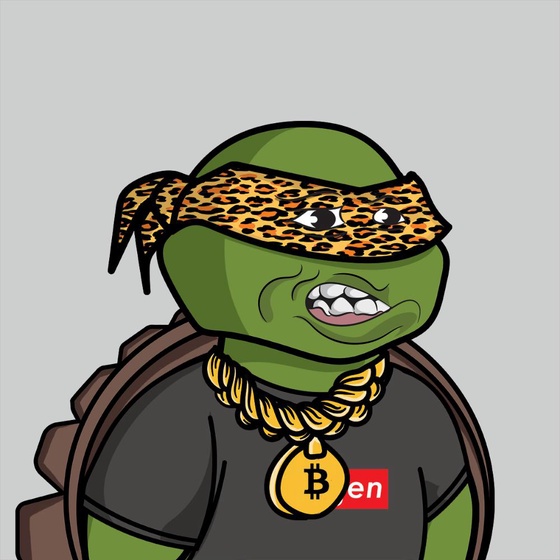 Degen Ninja Turtle #1432