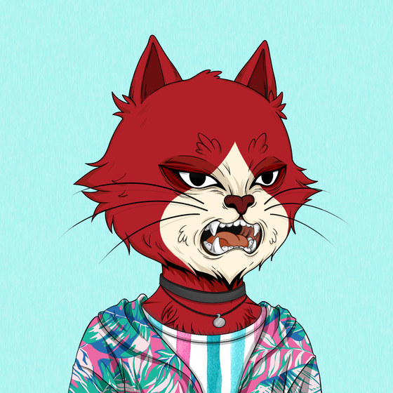 Angry Cat #5145