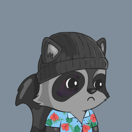 LookAtMyRaccoon #2604