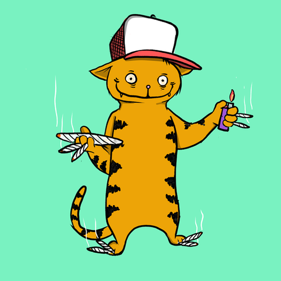 Blazed Cat #5604