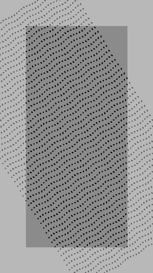 Monochrome Frames #1325