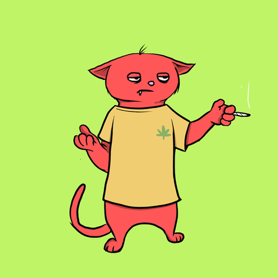 Blazed Cat #4260